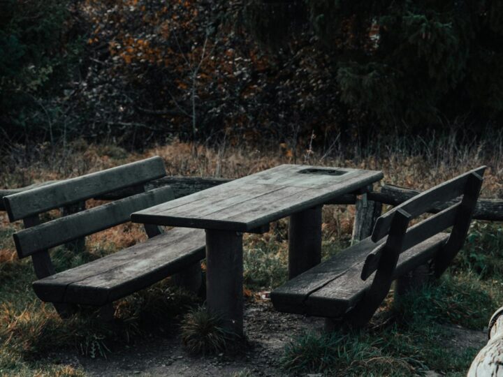 Park Meer en Bos